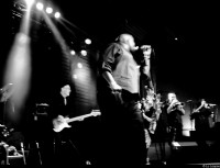 /album/sugaray-rayford-and-the-cream-horns/a101-6138-jpg/